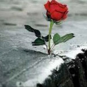 Meet your Posher, Tia